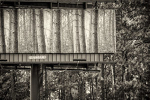 Billboard_T3A7953-toned