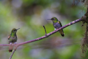 Ecuador-026