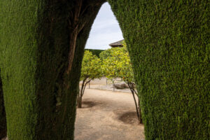 Spain_Alhambra-S1A2569-1